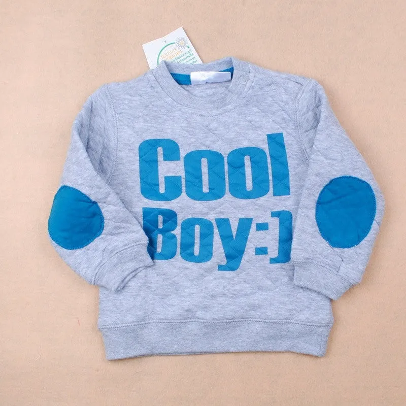 Autumn baby hoodies cotton long sleeve children sweatshirt tracksuit clothing kids pullovers lovely for boys girls warm clothes