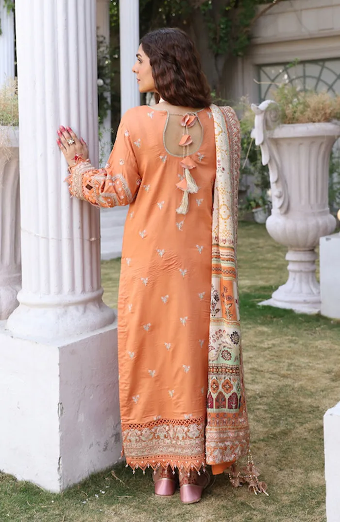 Classic Orange Embroidered Pakistani Salwar Kameez Party Dress
