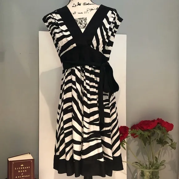 New Bebe Silk Zebra Print V-neck Babydoll Tie Waist Dress Black White Sz XS NWOT